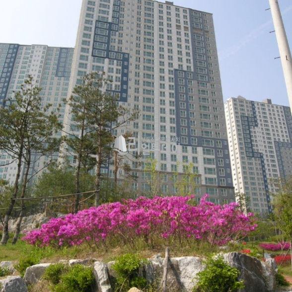 주변기타