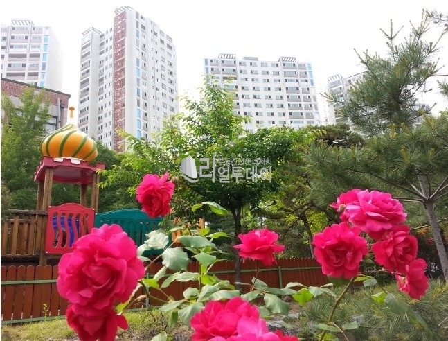 주변기타