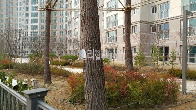 주변기타