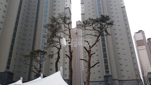 교통
