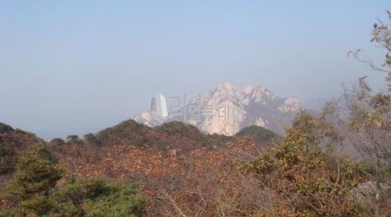 주변기타