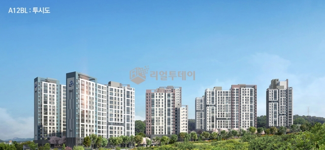 조감도