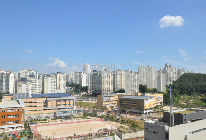 교육